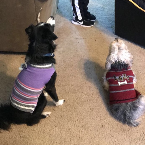 Meet your Posher, Amy - Picture 2 of 3